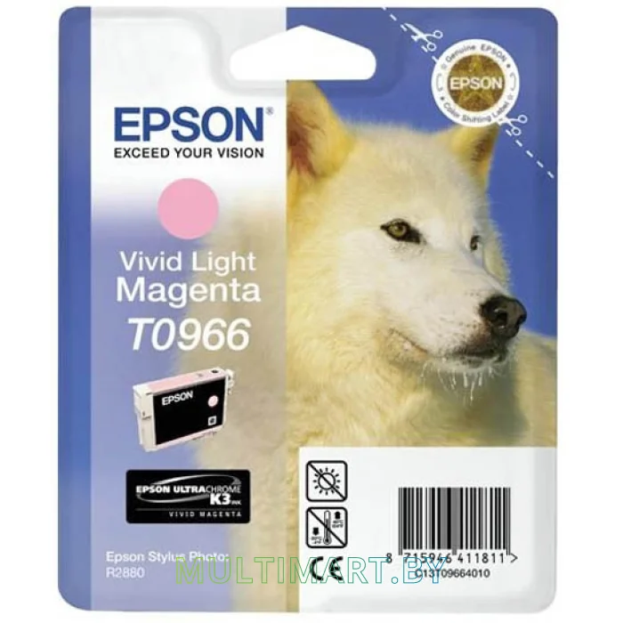 Картридж Epson C13T09664010
